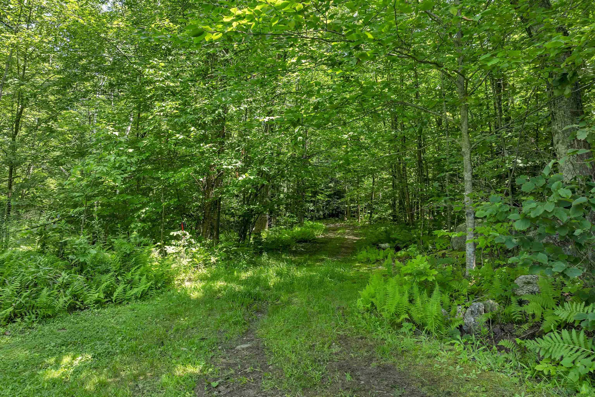 358 Roller Coaster Road Laconia NH 03246