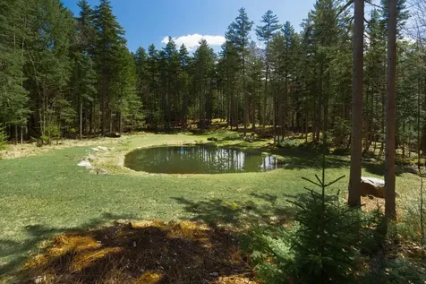 28 Cheney Brook Road Dover VT 05356