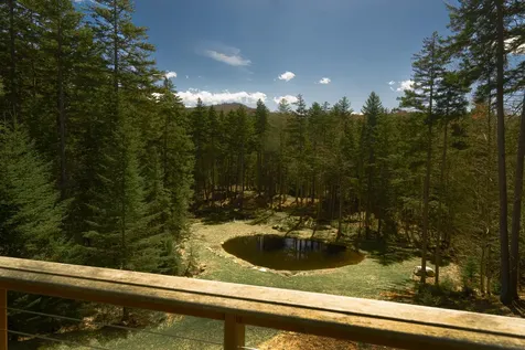 28 Cheney Brook Road Dover VT 05356