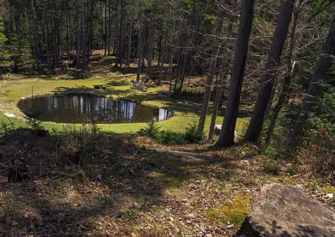 28 Cheney Brook Road Dover VT 05356