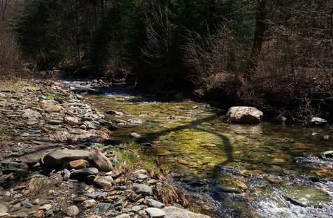 28 Cheney Brook Road Dover VT 05356