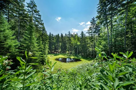 28 Cheney Brook Road Dover VT 05356