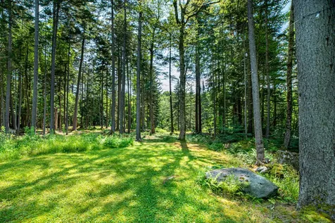 28 Cheney Brook Road Dover VT 05356