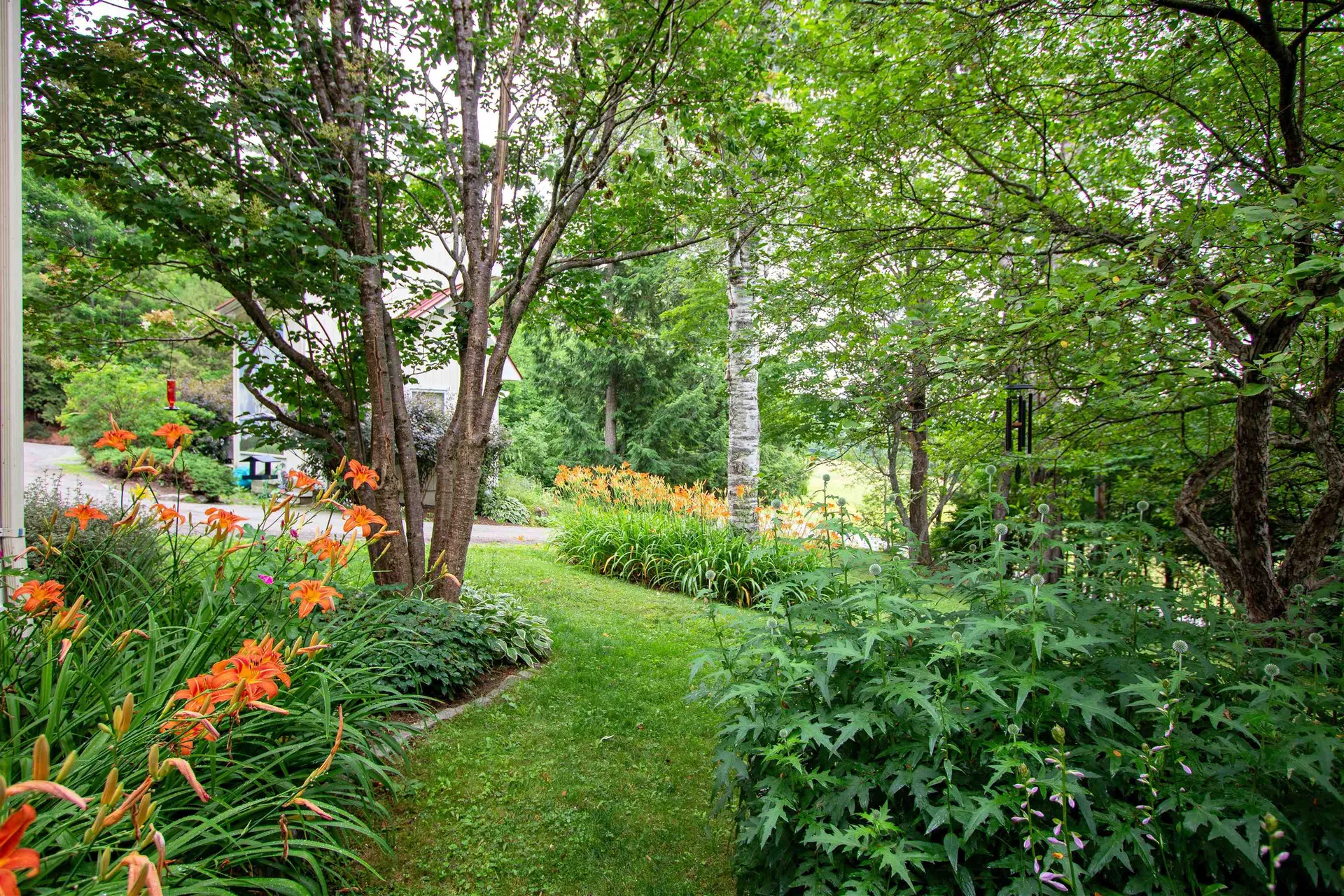 847 Morses Mill Road Danville VT 05828