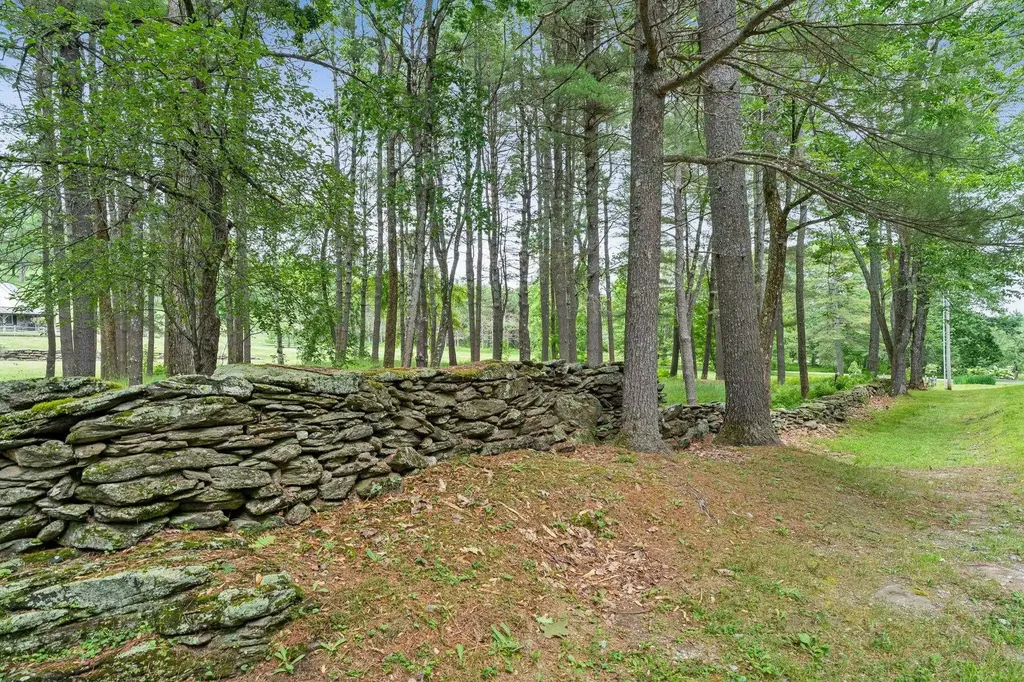 699 Spear Cemetery Road Reading VT 05062