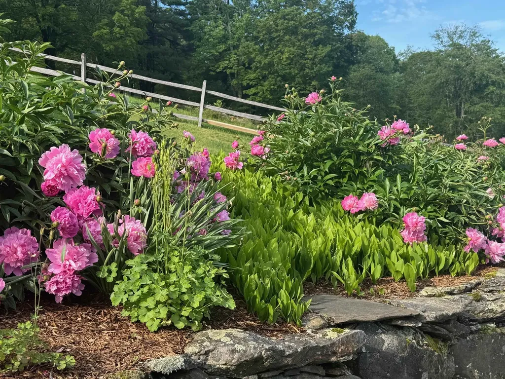 699 Spear Cemetery Road Reading VT 05062