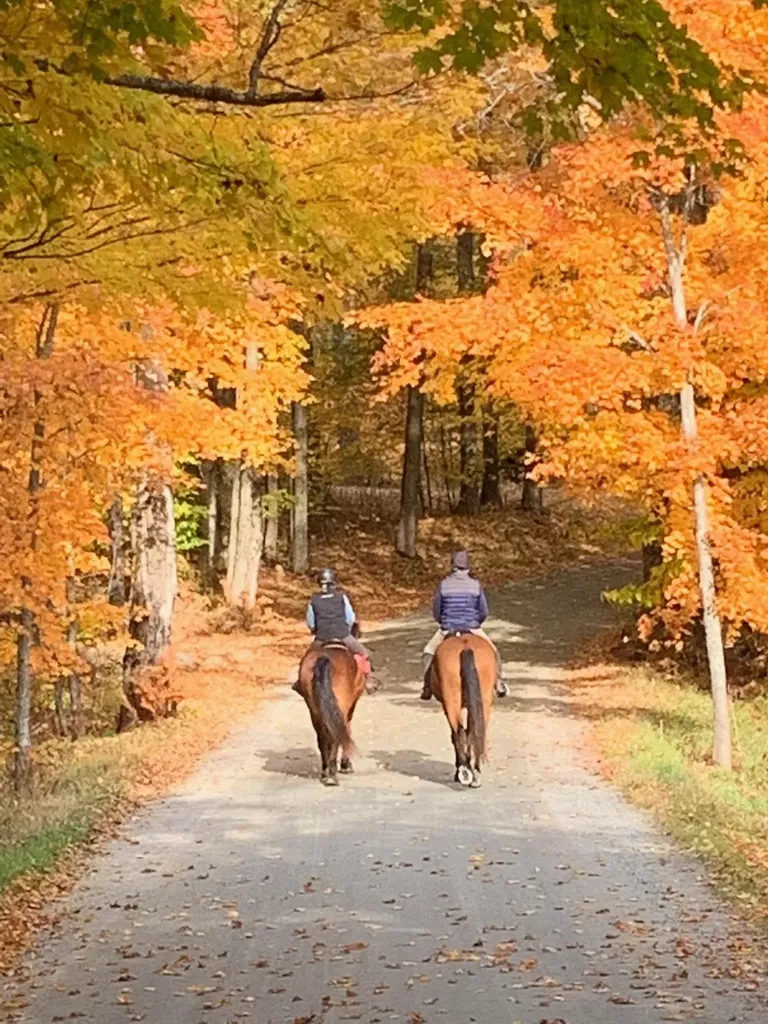 699 Spear Cemetery Road Reading VT 05062