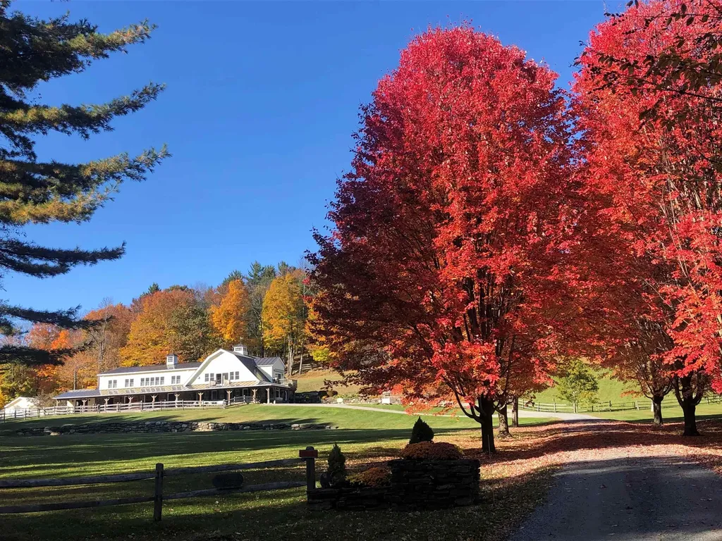 699 Spear Cemetery Road Reading VT 05062
