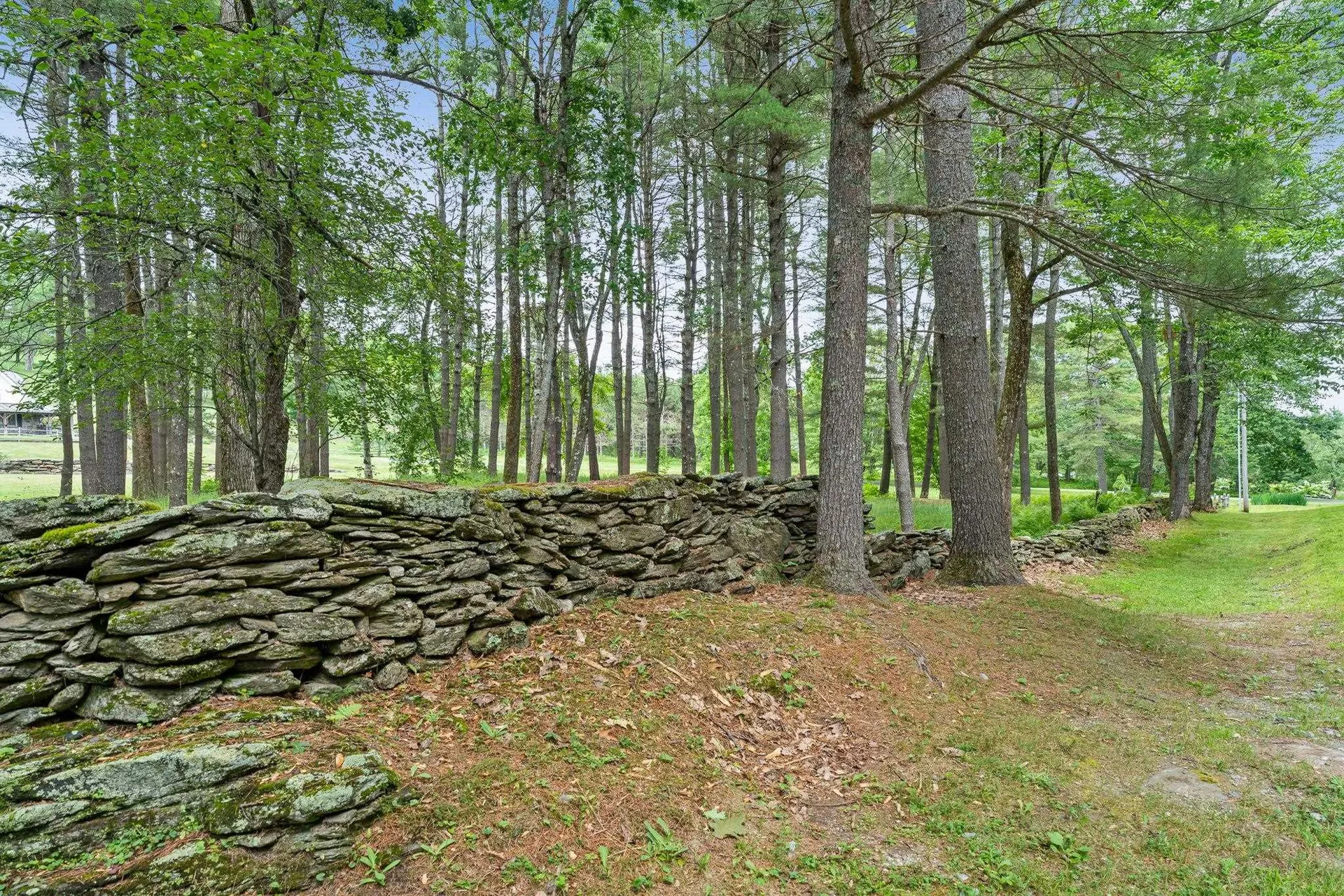 699 Spear Cemetery Road Reading VT 05062