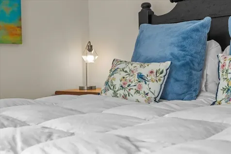 44 Park Place Stowe VT 05672