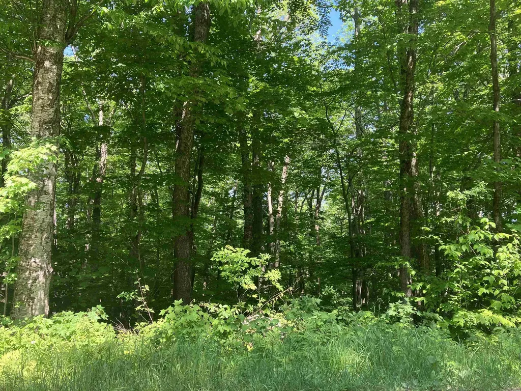 30 Upper Howes Way Wilmington VT 05363