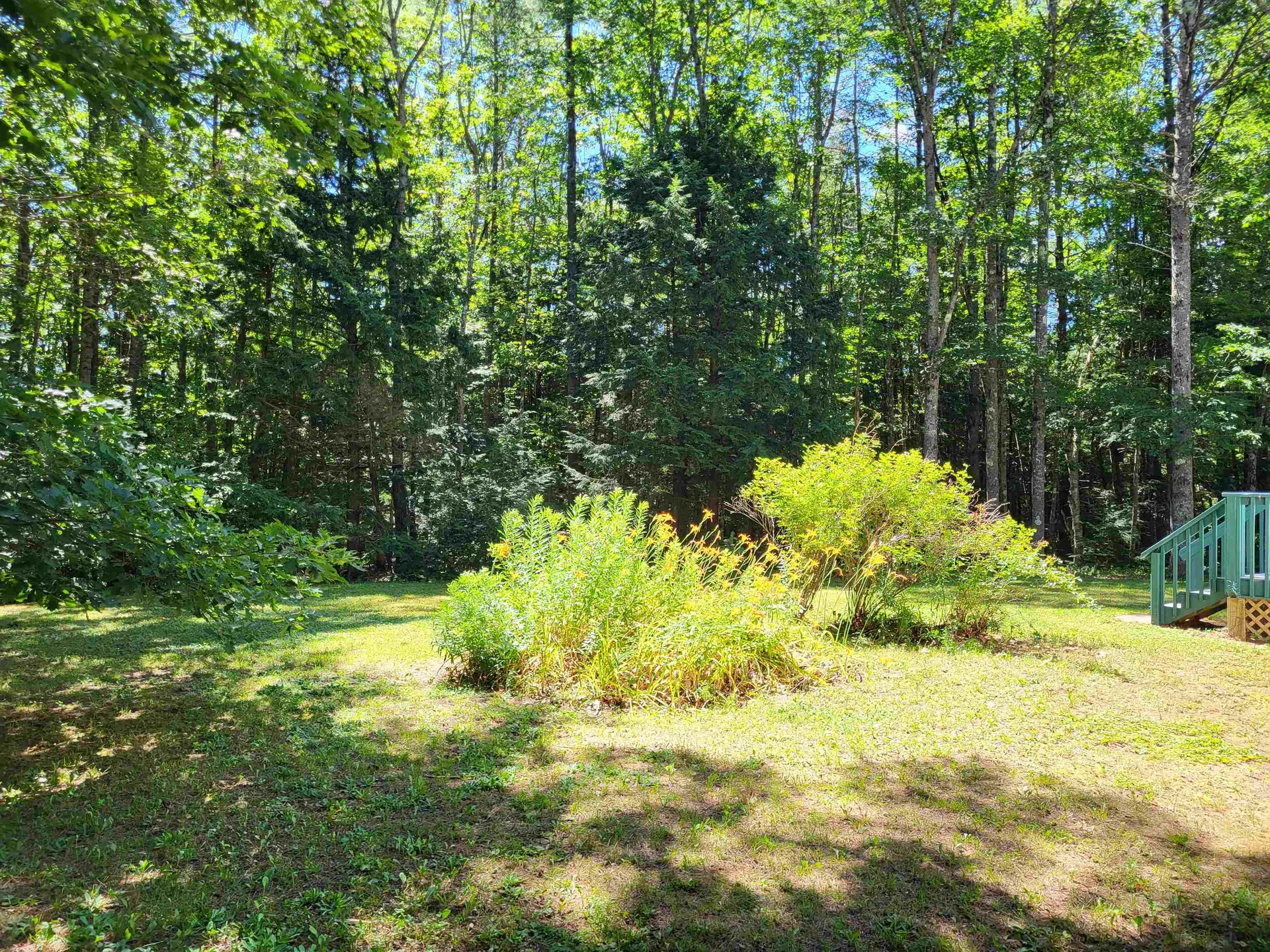 110 Jenness Hill Road Bristol NH 03222