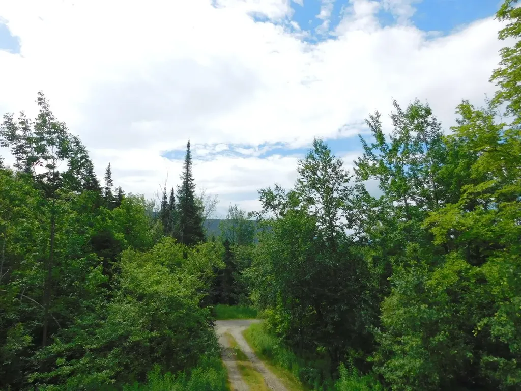 92 Evergreen Lane Westfield VT 05874