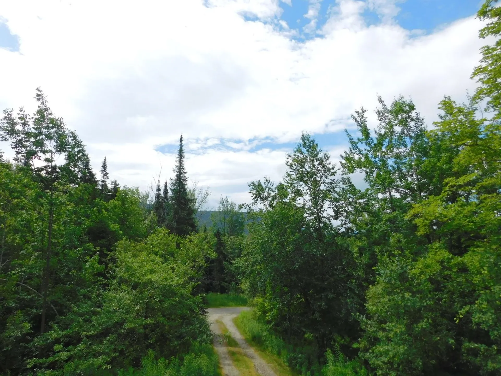 92 Evergreen Lane Westfield VT 05874