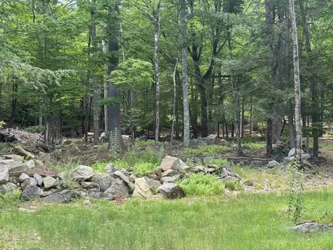 23 Cow Island Tuftonboro NH 03816