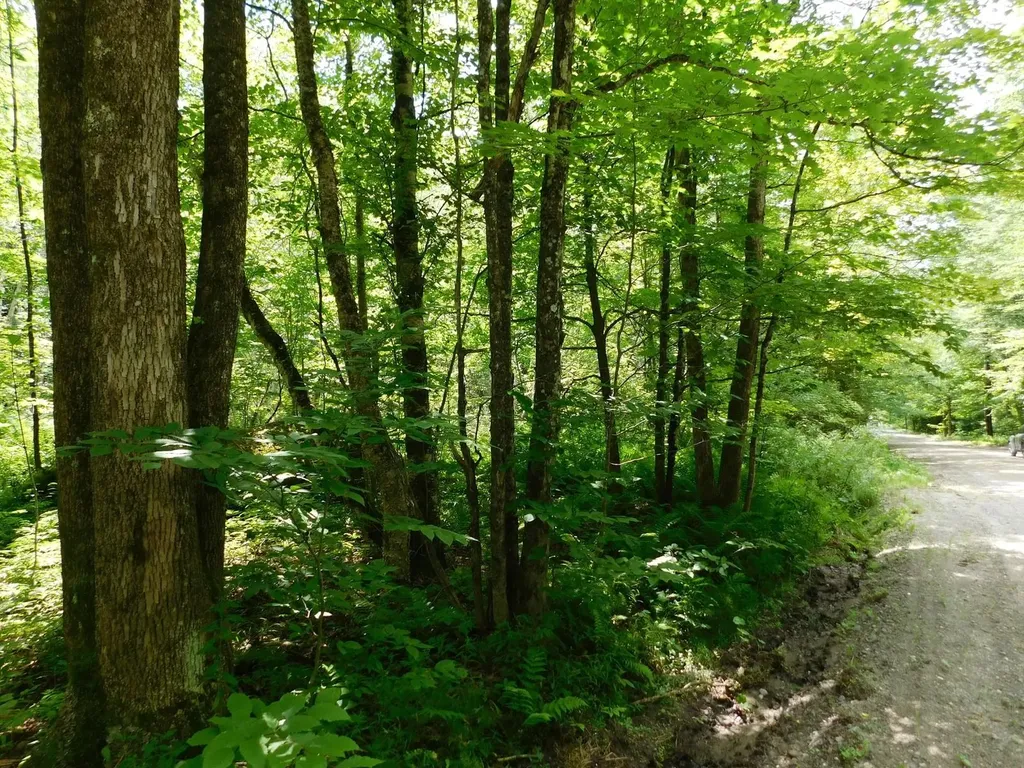 0 Amidon Road Montgomery VT 05471