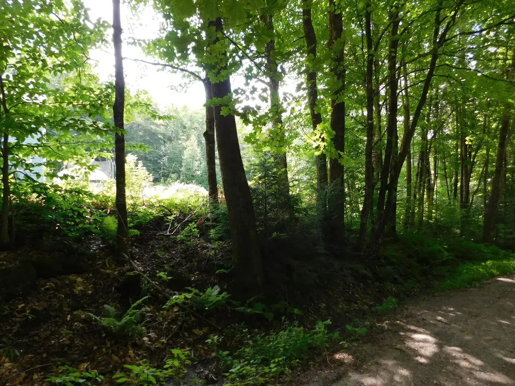 0 Amidon Road Montgomery VT 05471