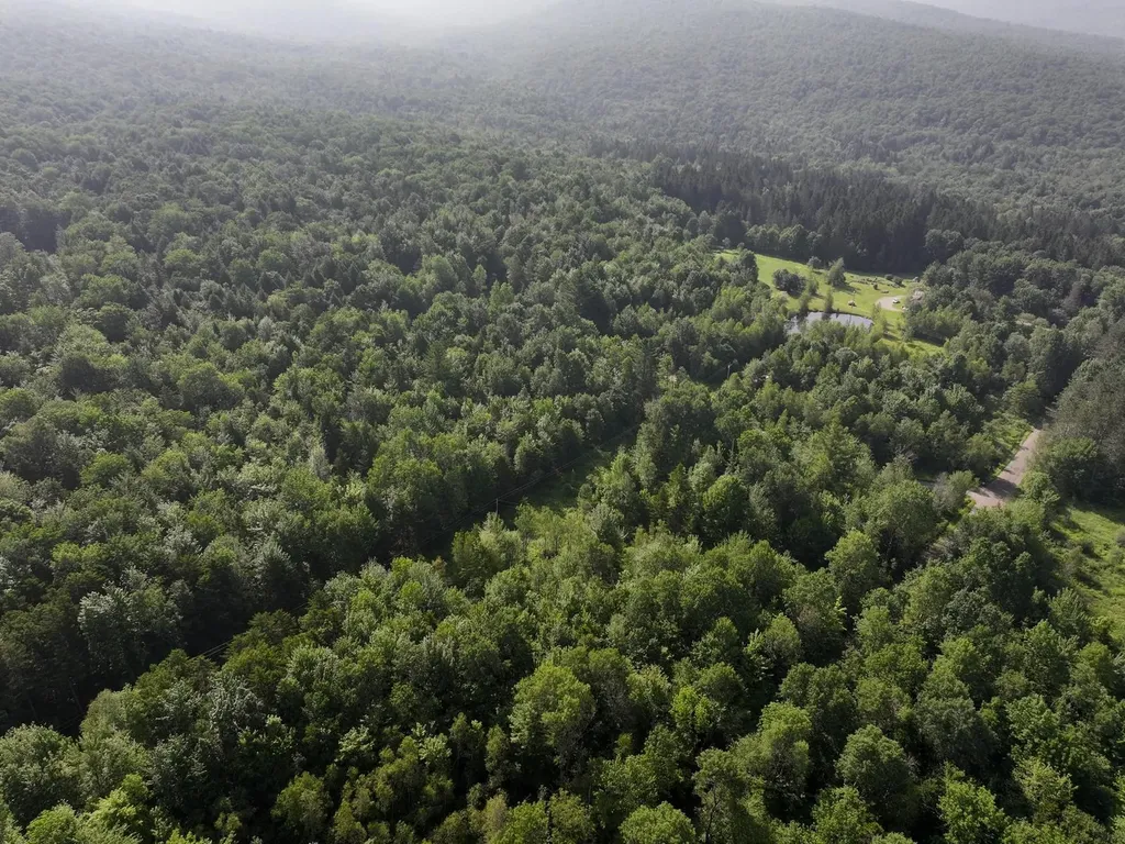 0 Amidon Road Montgomery VT 05471