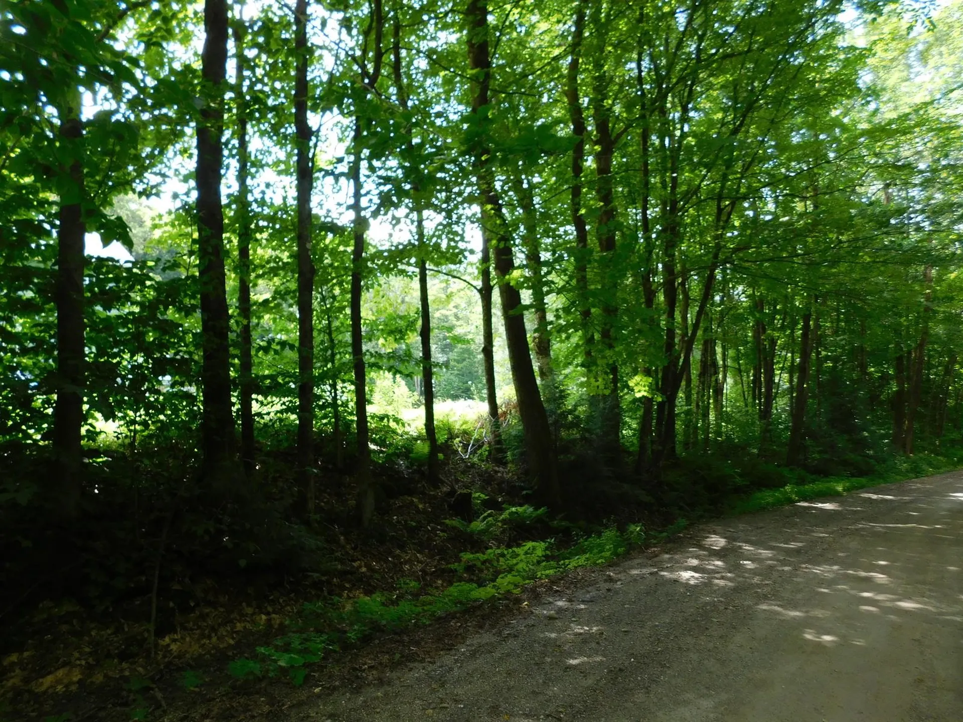 0 Amidon Road Montgomery VT 05471