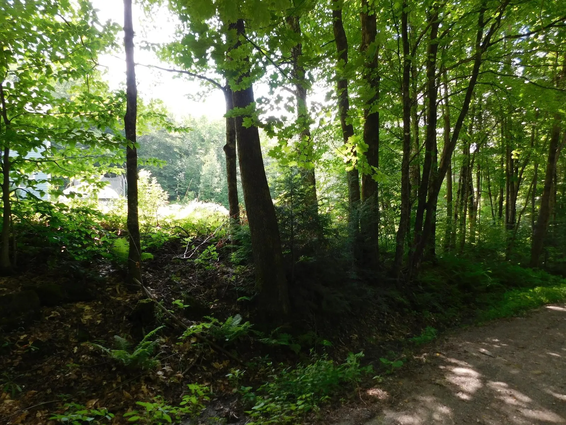 0 Amidon Road Montgomery VT 05471