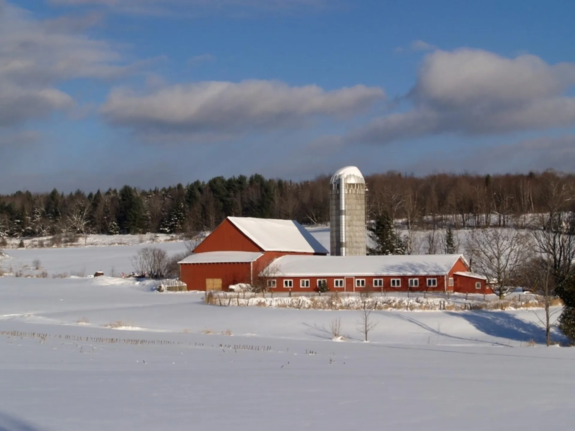 0 Amidon Road Montgomery VT 05471