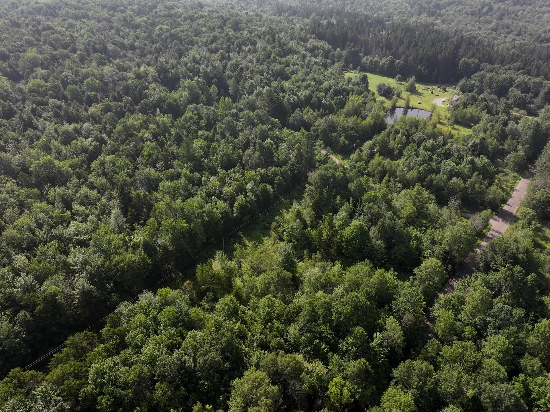 0 Amidon Road Montgomery VT 05471