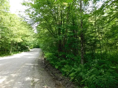 0 Amidon Road Montgomery VT 05471