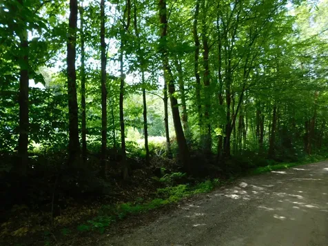 0 Amidon Road Montgomery VT 05471