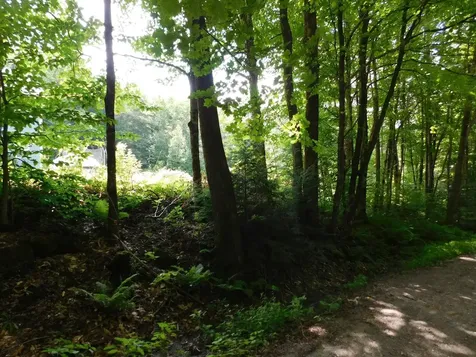 0 Amidon Road Montgomery VT 05471