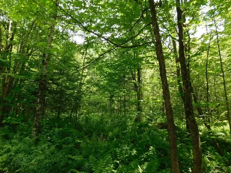 0 Amidon Road Montgomery VT 05471