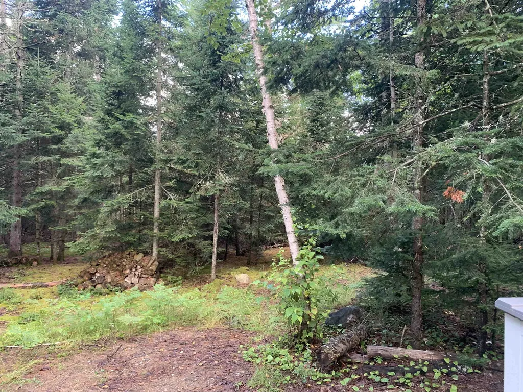 29 Birch Drive Stratford NH 03590