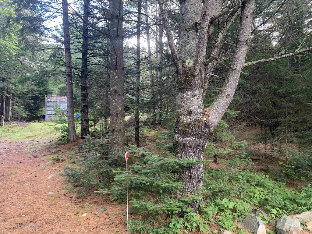 29 Birch Drive Stratford NH 03590