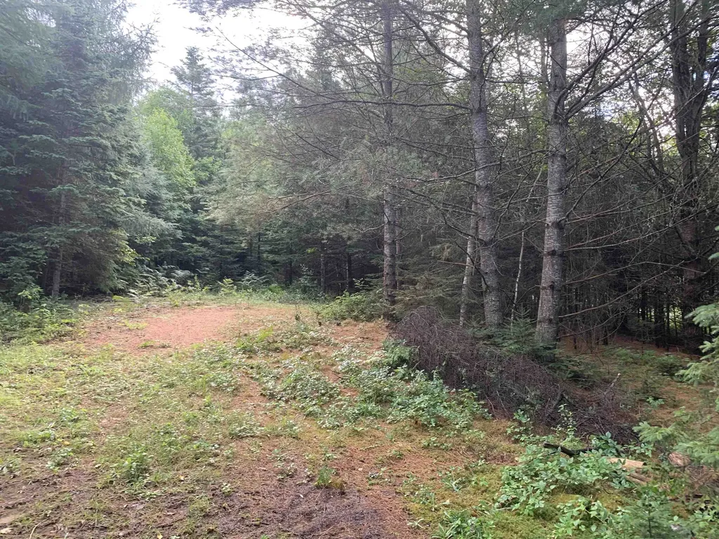 29 Birch Drive Stratford NH 03590