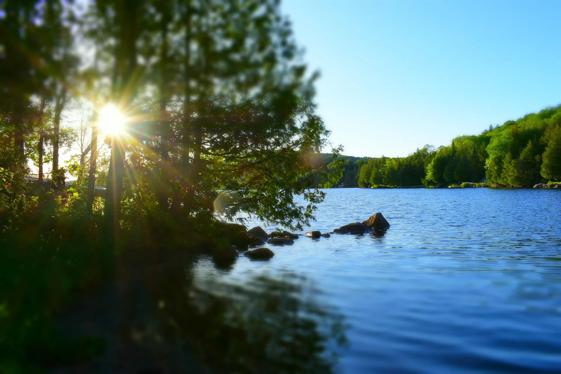 402 Daniels Pond Road Glover VT 05875