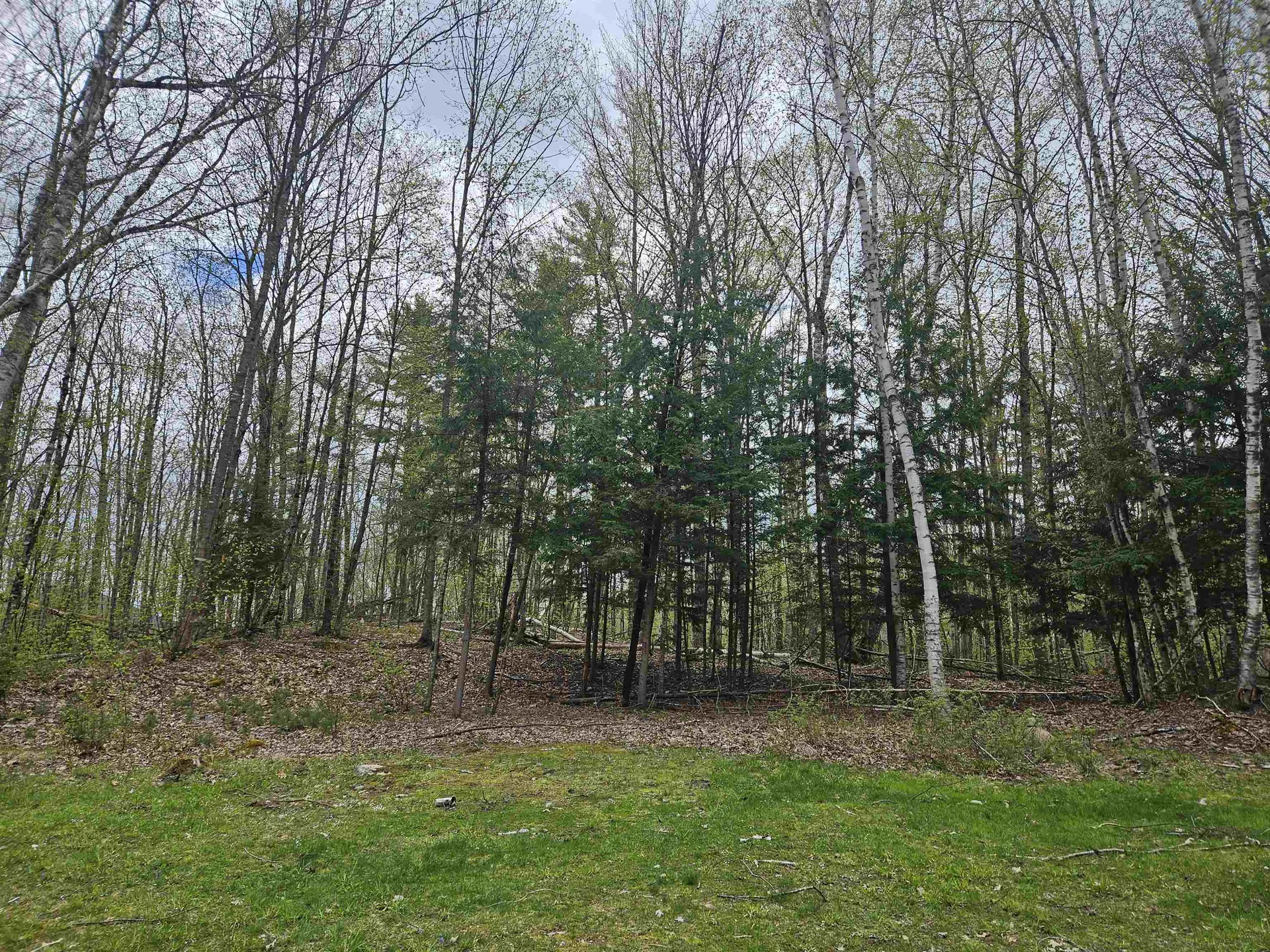 Lot 123 Paulsen Circle Haverhill NH 03765