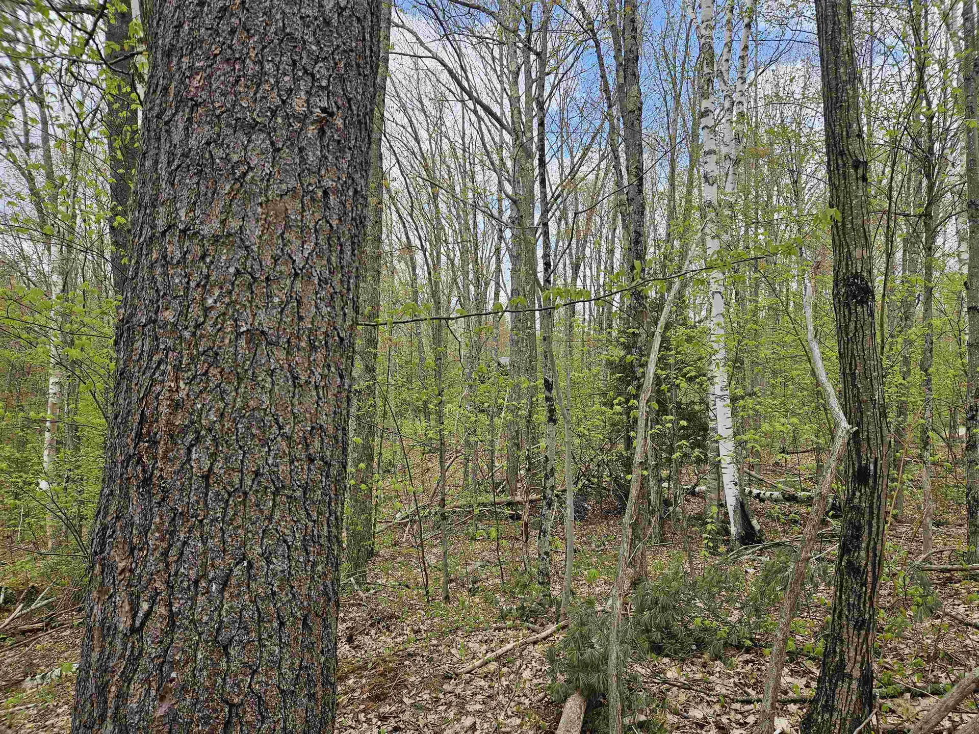 Lot 123 Paulsen Circle Haverhill NH 03765