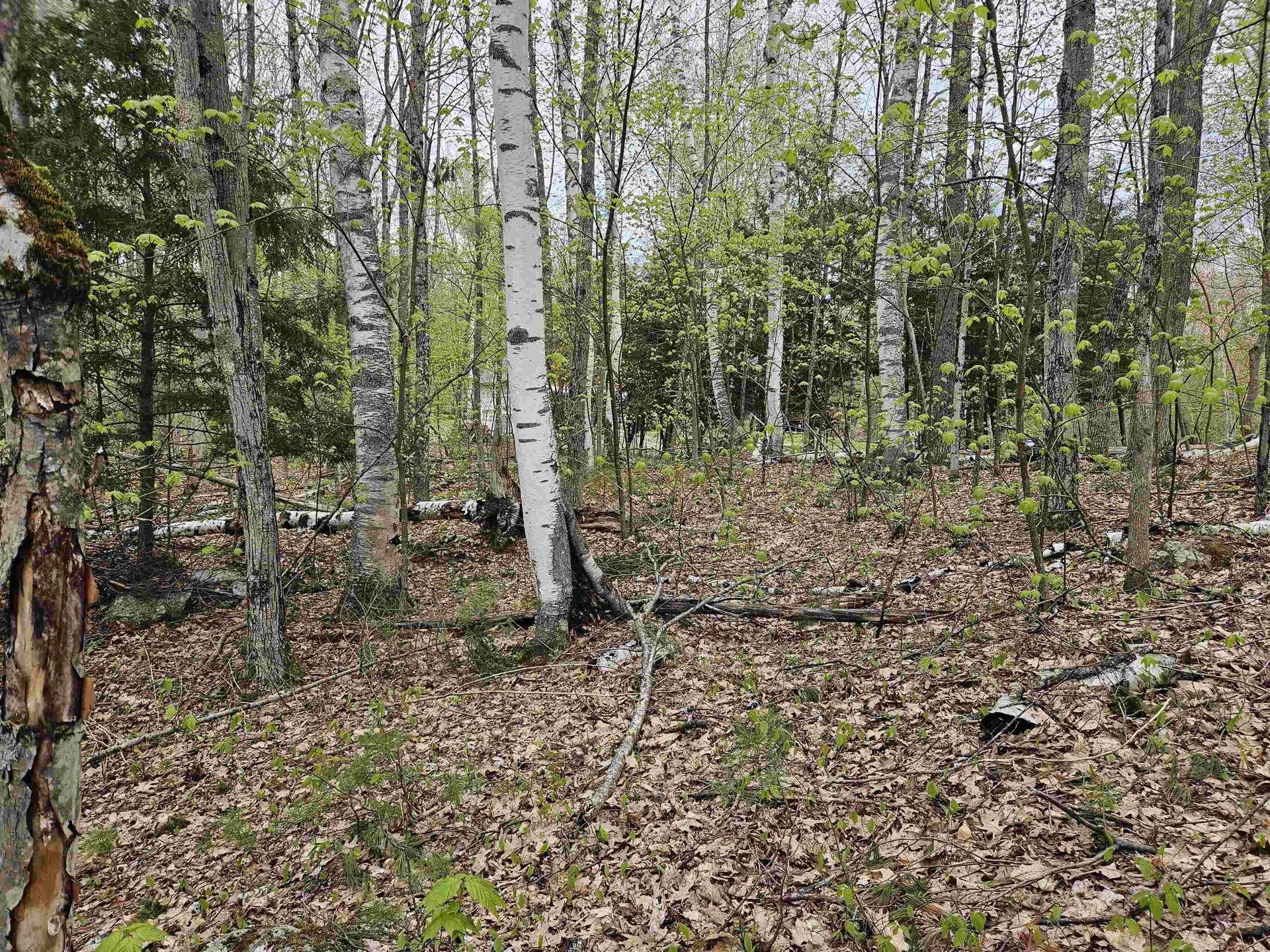 Lot 123 Paulsen Circle Haverhill NH 03765