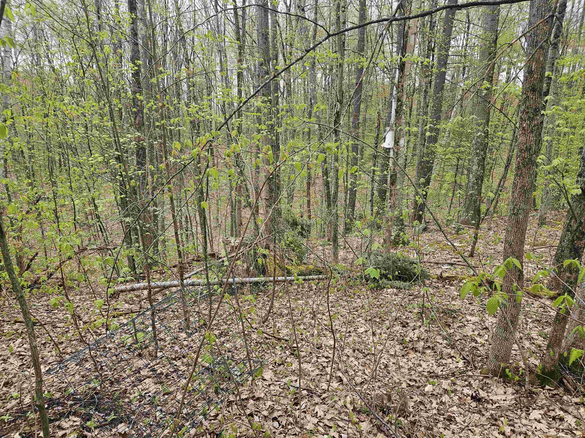 Lot 123 Paulsen Circle Haverhill NH 03765