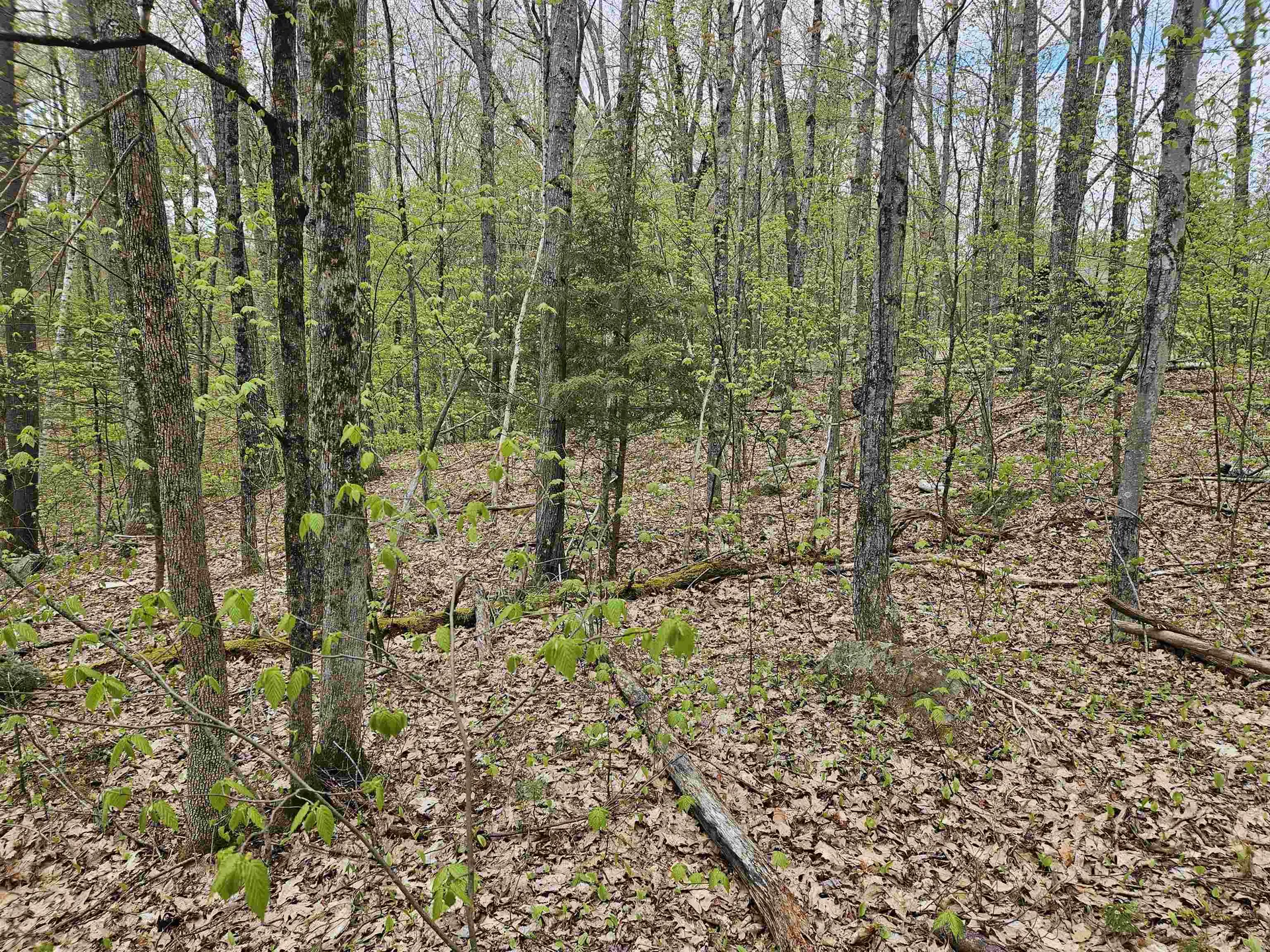 Lot 123 Paulsen Circle Haverhill NH 03765