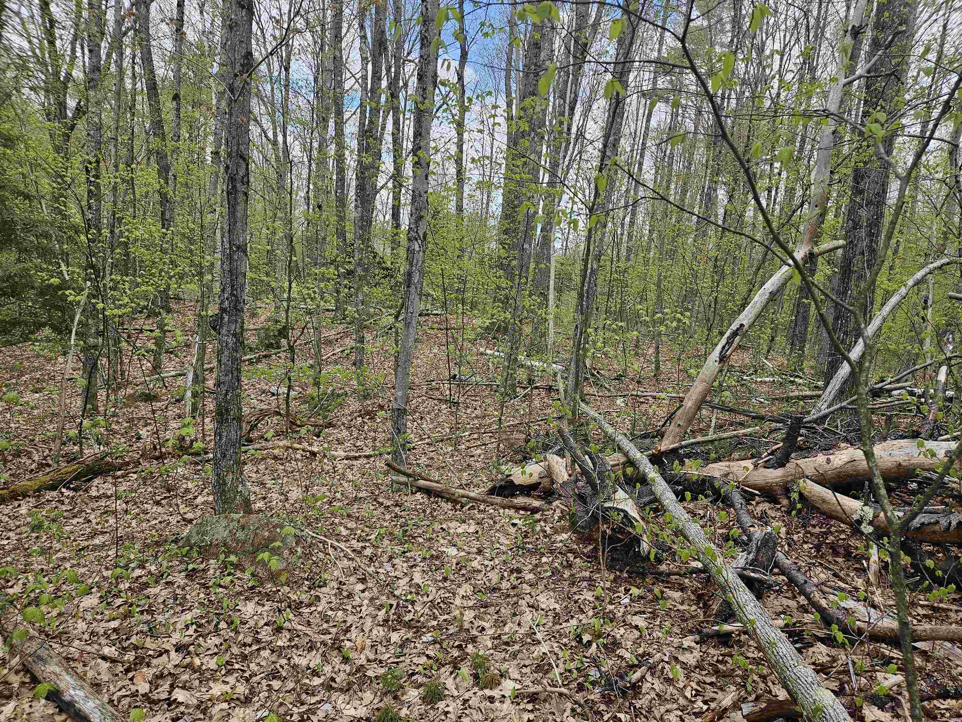 Lot 123 Paulsen Circle Haverhill NH 03765