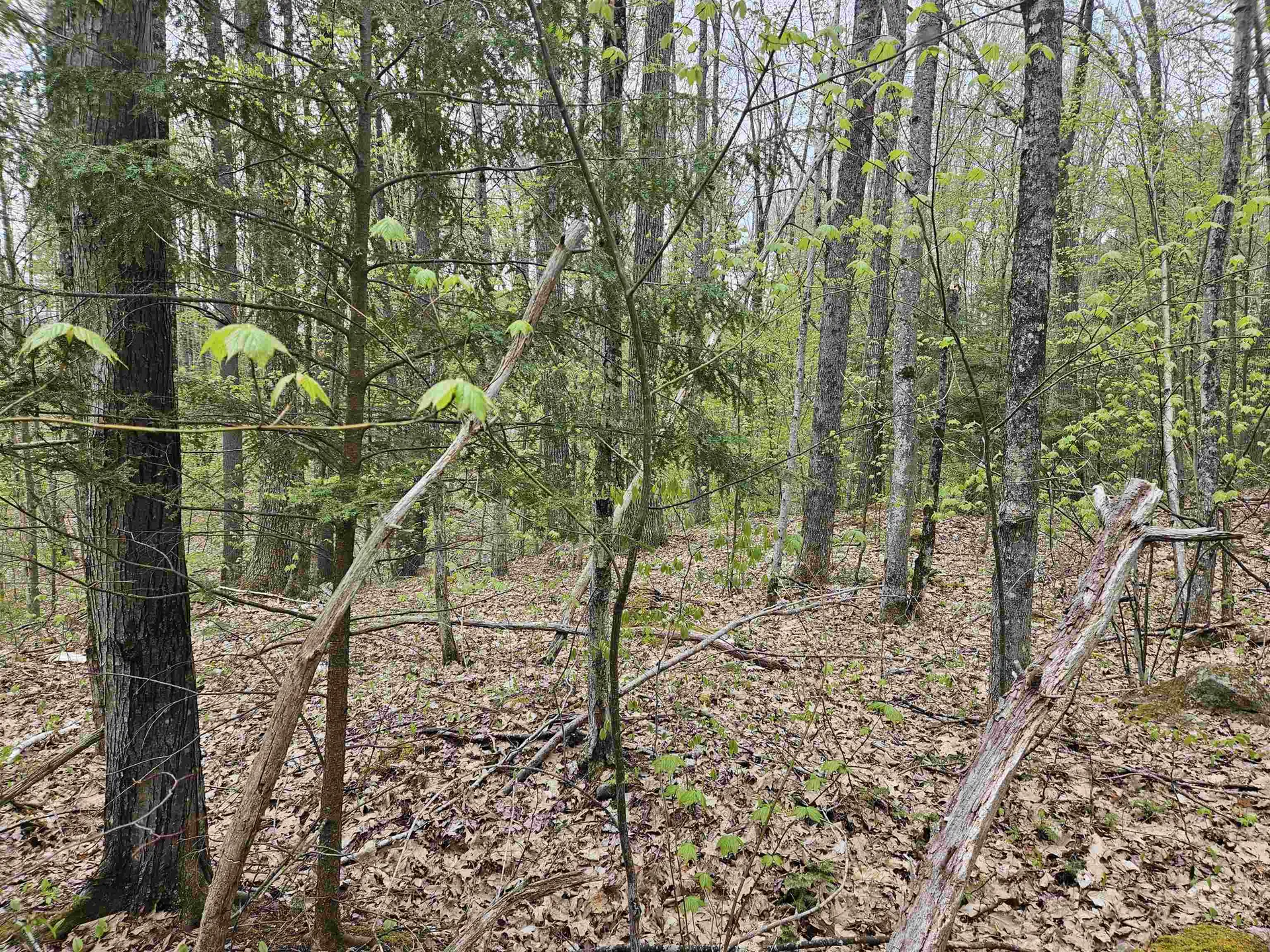 Lot 123 Paulsen Circle Haverhill NH 03765