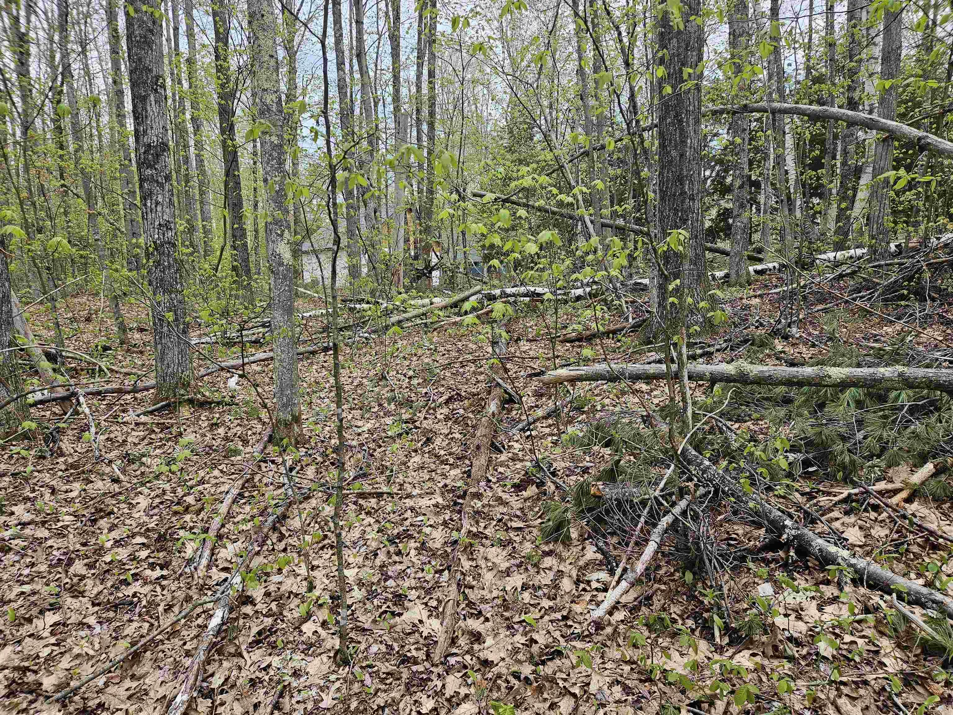 Lot 123 Paulsen Circle Haverhill NH 03765