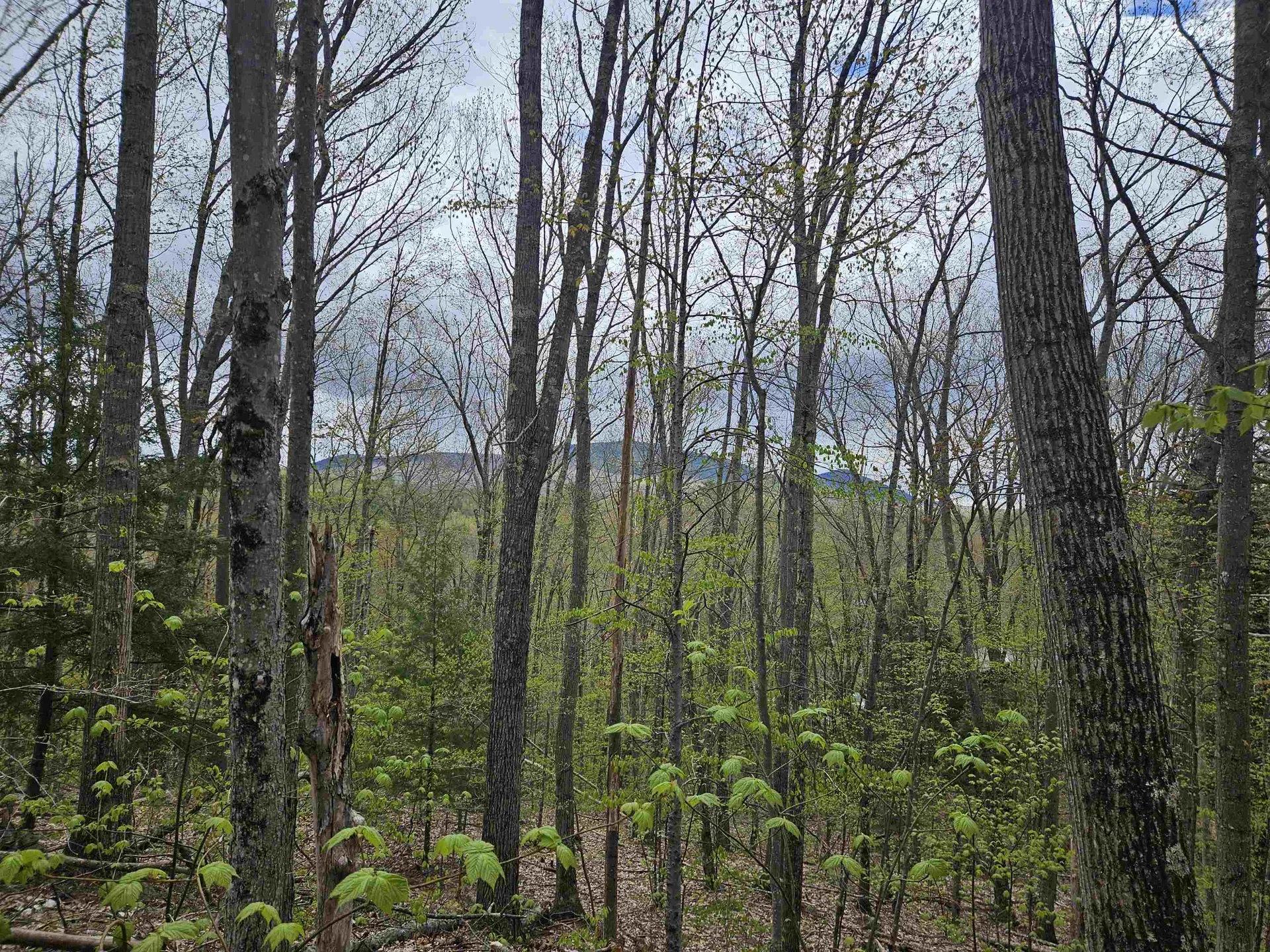 Lot 123 Paulsen Circle Haverhill NH 03765