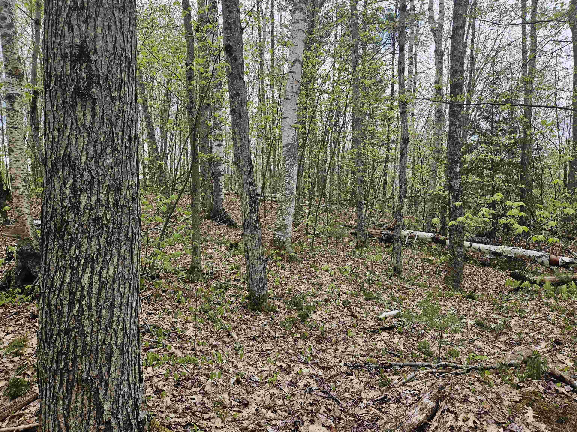 Lot 123 Paulsen Circle Haverhill NH 03765