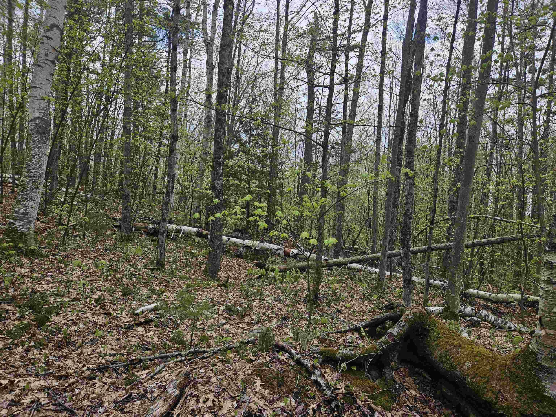 Lot 123 Paulsen Circle Haverhill NH 03765