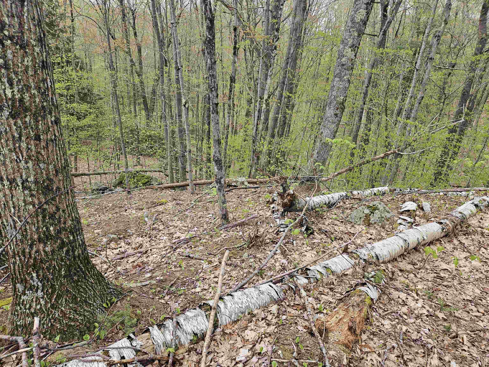 Lot 123 Paulsen Circle Haverhill NH 03765