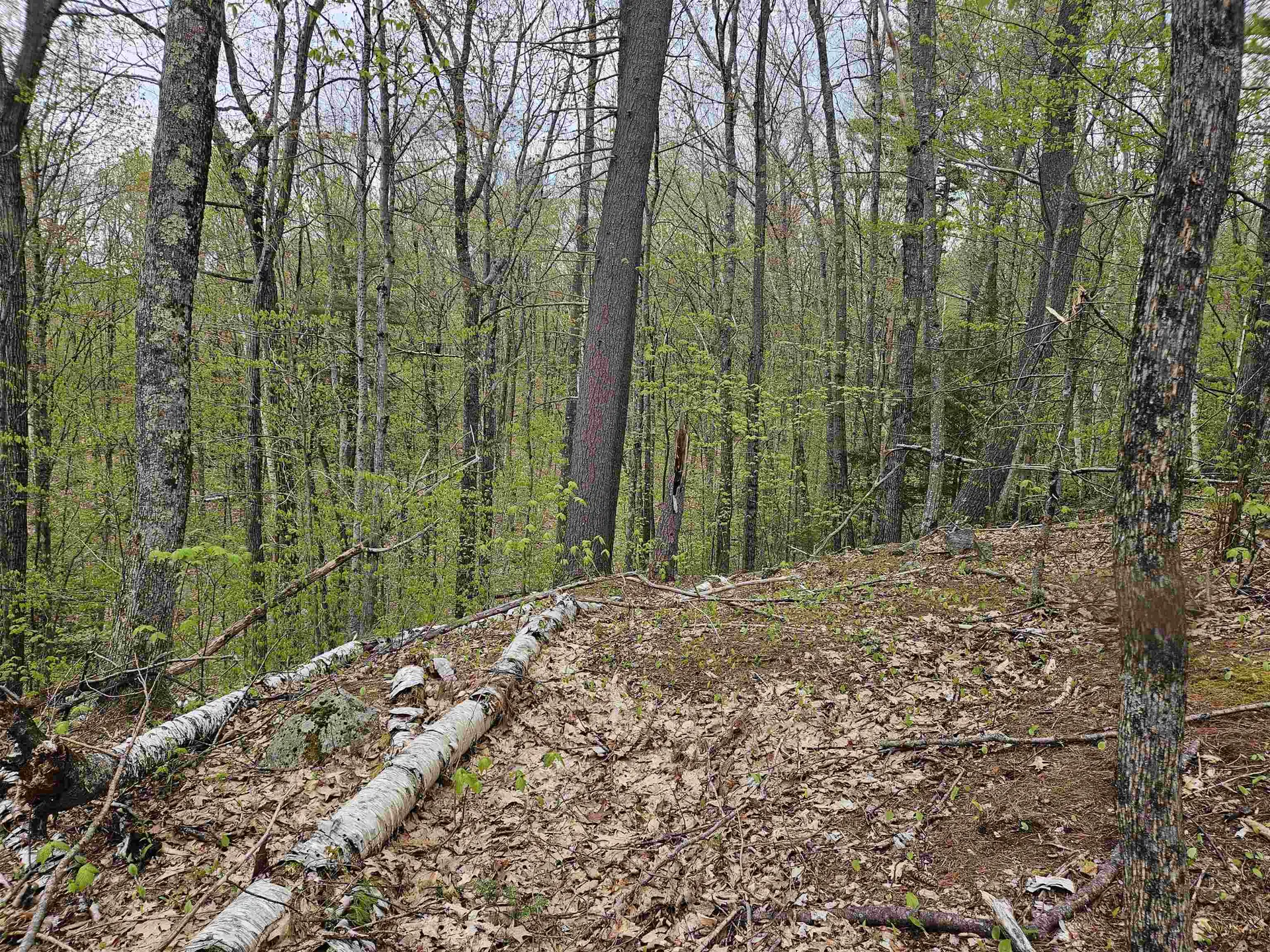 Lot 123 Paulsen Circle Haverhill NH 03765