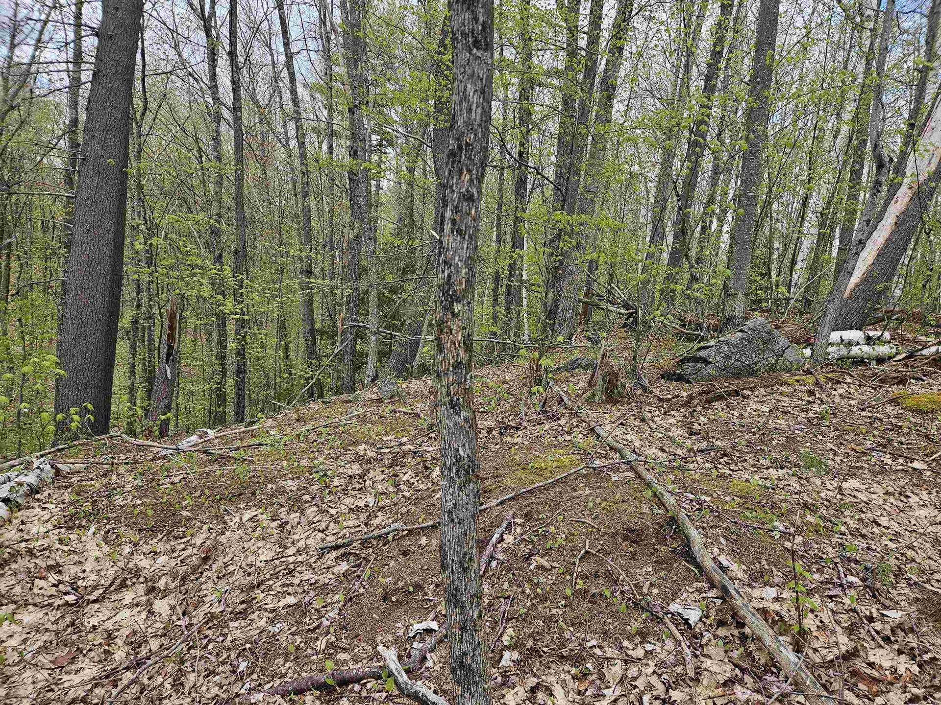 Lot 123 Paulsen Circle Haverhill NH 03765