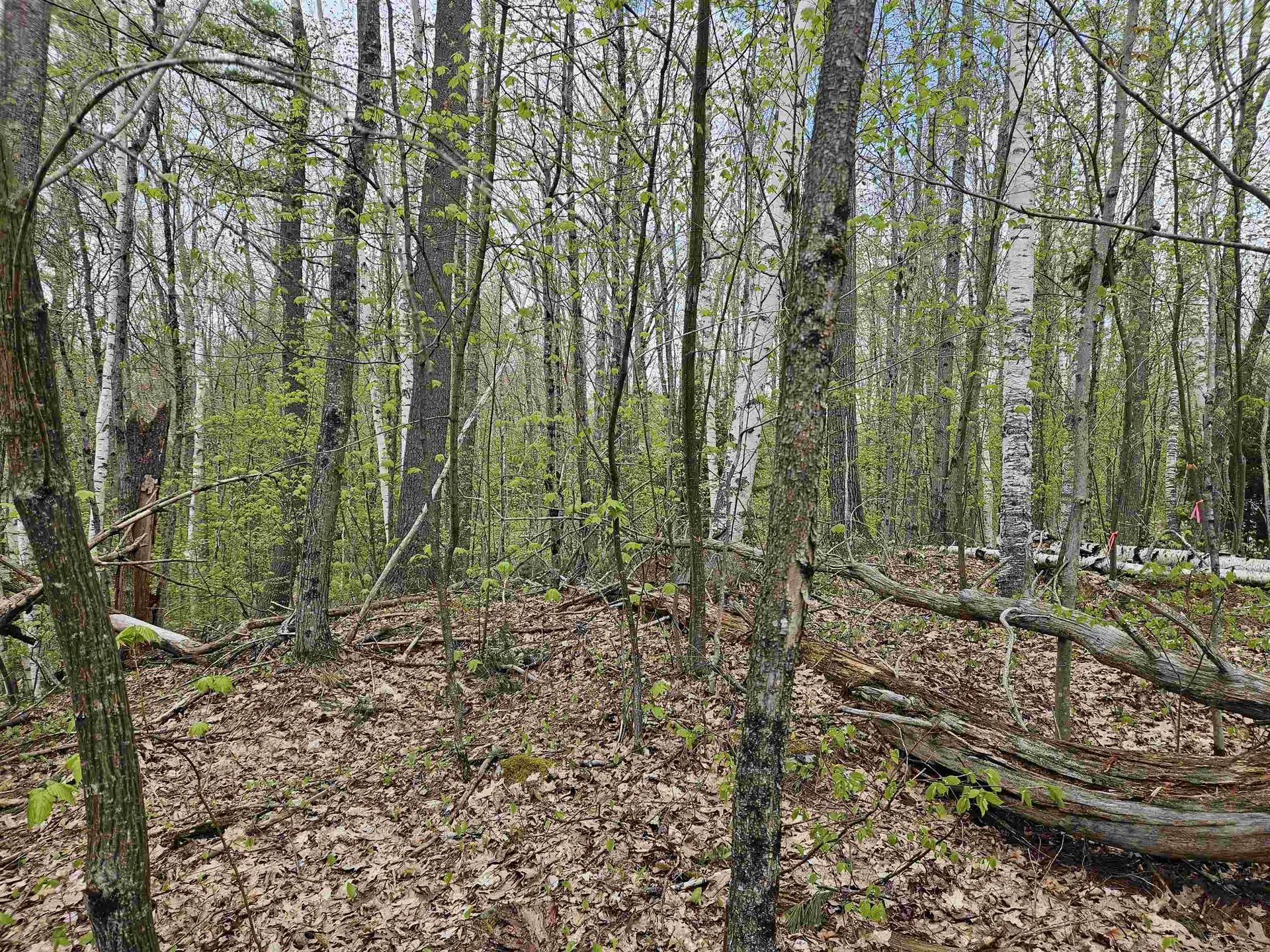 Lot 123 Paulsen Circle Haverhill NH 03765