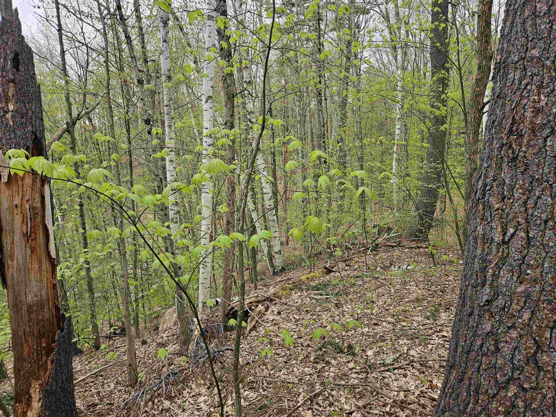 Lot 123 Paulsen Circle Haverhill NH 03765